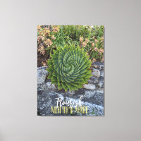 Fleurit où vous êtes planté de granit d'aloe en sp