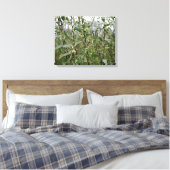 Toile Fleurs blanches crémeuses sur un buisson après la (Insitu(Chambre))
