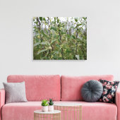 Toile Fleurs blanches crémeuses sur un buisson après la (Insitu(Salon))