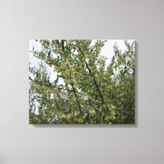 Toile Fleurs blanches crémeuses sur un buisson après la