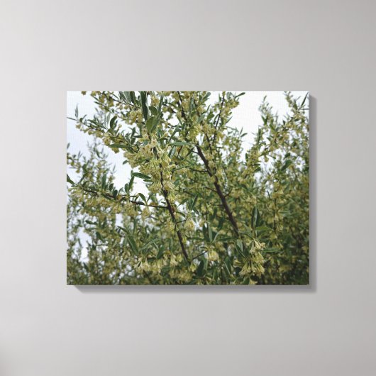 Toile Fleurs blanches crémeuses sur un buisson après la (Recto)