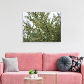 Toile Fleurs blanches crémeuses sur un buisson après la (Insitu(Salon))