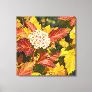Toile Fleurs blanches d'automne en cramoisi et or