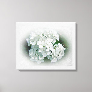 Toile Fleurs blanches d'hortensia