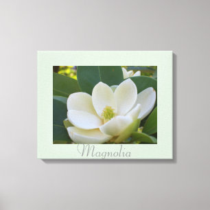 Toile Fleurs blanches Magnolia Art Photographie de la na