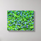 Toile Fleurs bleues vibrantes (Recto)