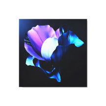Fleurs colorées