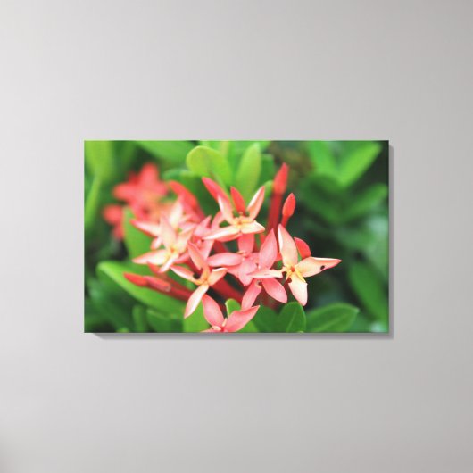 Toile Fleurs dans la jungle (Recto)