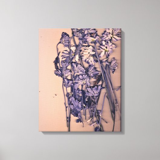 Toile Fleurs dans une lumière rose (Recto)