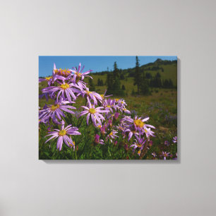 Toile Fleurs d'aster violet au Mont Rainier