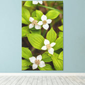 Toile Fleurs de Bunchberry (Insitu (Plancher de Bois))