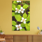 Toile Fleurs de Bunchberry (Insitu(Salon))