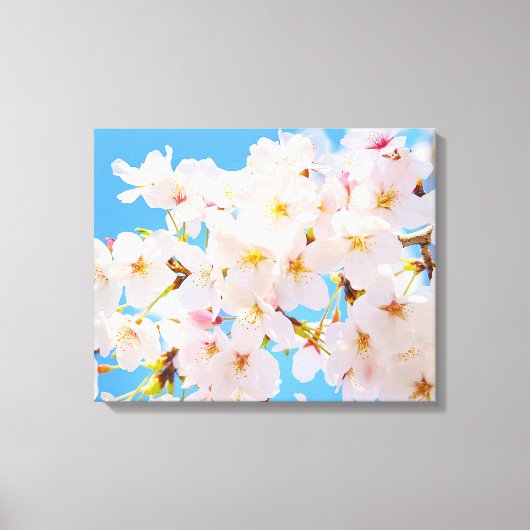 Toile Fleurs de cerisiers au printemps (Recto)