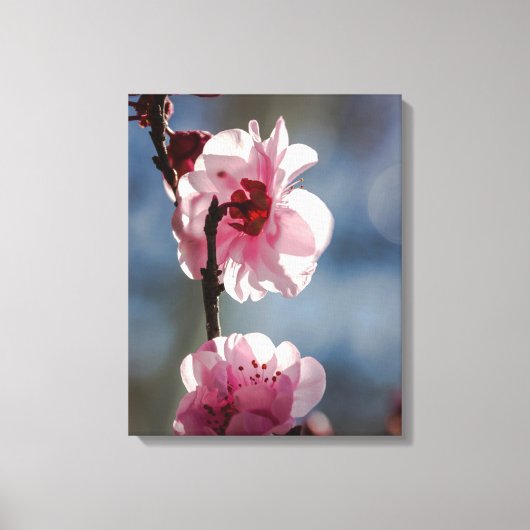 Toile Fleurs de cerisiers dans l'art Triptyque Sunshine (Recto)