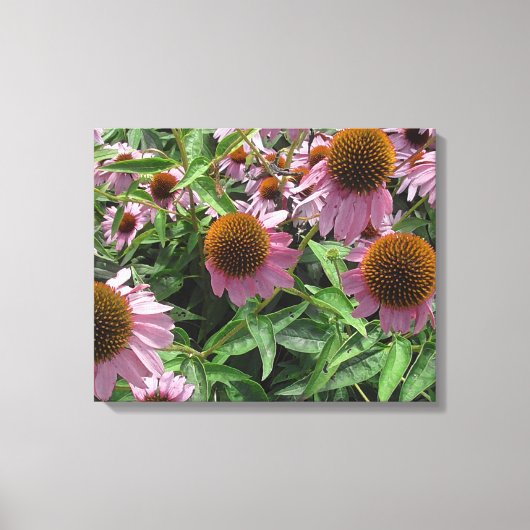 Toile Fleurs de cône d'échinacée en violet et jaune (Recto)