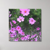 Toile fleurs de cosmos avec des galets sur un (Recto)