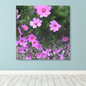 Toile fleurs de cosmos avec des galets sur un (Insitu (Plancher de Bois))