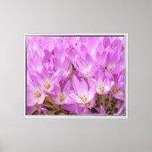 Toile Fleurs de crocus d'automne rose (Recto)