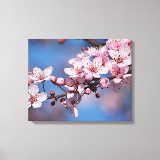 Toile Fleurs de fleurs de cerisier (Recto)