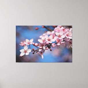 Toile Fleurs de fleurs de cerisier