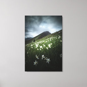 Toile Fleurs de Golica et de Narcissus de la montagne
