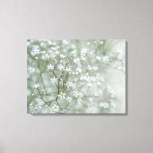 Toile Fleurs de Gypsophile Photographie de la Nature Aér