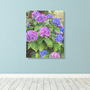 Toile Fleurs de Hortensia Bleu et Rose