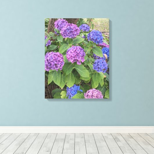 Toile Fleurs de Hortensia Bleu et Rose (Insitu (Plancher de Bois))