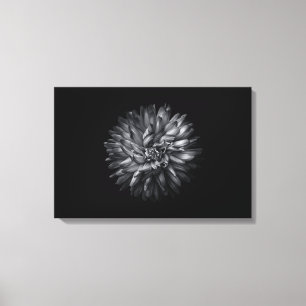 Toile Fleurs de jardin en noir et blanc 20