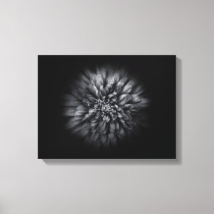 Toile Fleurs De jardin En Noir Et Blanc No 68 Flux