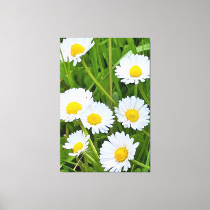 Toile Fleurs de jardin sauvage Roumanie – Photographie d