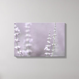 Toile Fleurs de lavande élégantes