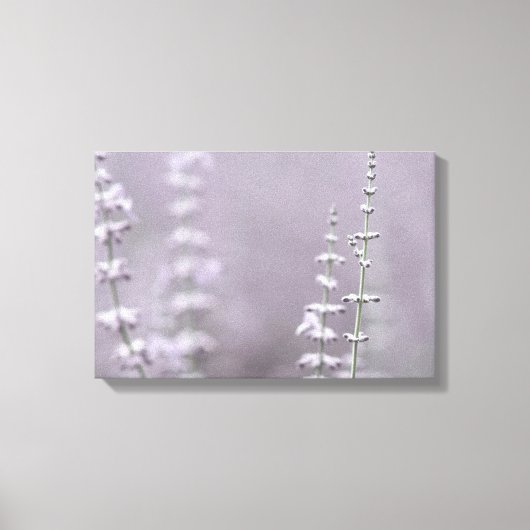 Toile Fleurs de lavande élégantes (Recto)