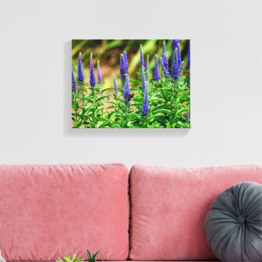 Toile Fleurs de l'étoile (Insitu(Salon))