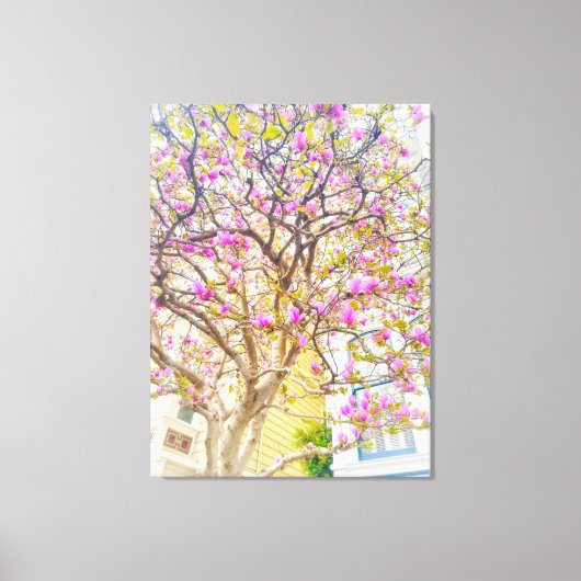 Toile Fleurs de magnolia rose (Recto)