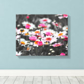 Toile Fleurs de marguerite rose (Insitu (Plancher de Bois))