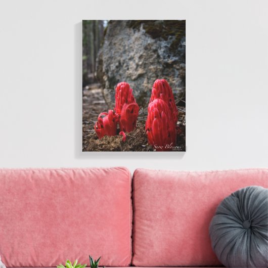 Toile Fleurs de neige (Insitu(Salon))