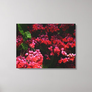 Toile Fleurs de pagode colorées rouge et rose