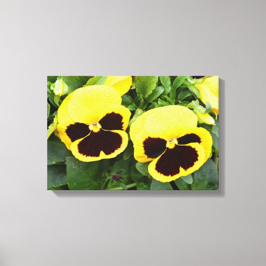Toile Fleurs de pensée jaune (Recto)