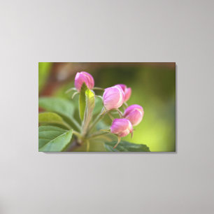 Toile fleurs de pomme