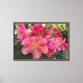Toile Fleurs de Rhododendron Rose (Recto)