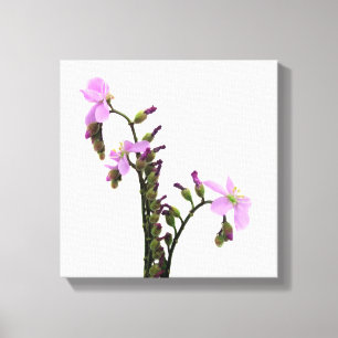Toile Fleurs de Rossolis Pourpre