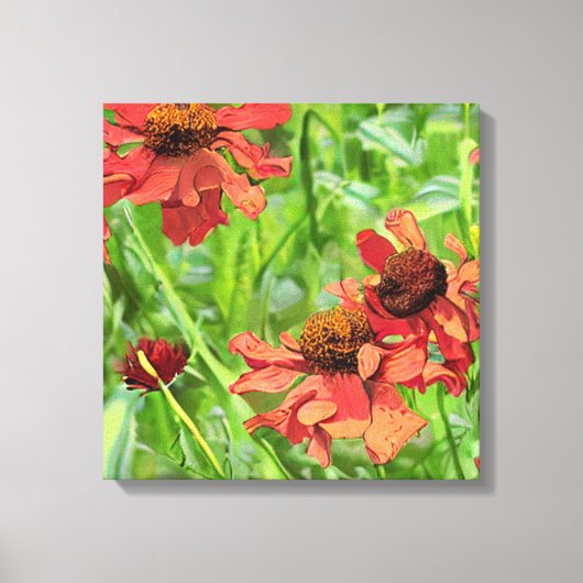 TOILE FLEURS DE RUDBECKIA ROUGES (Recto)