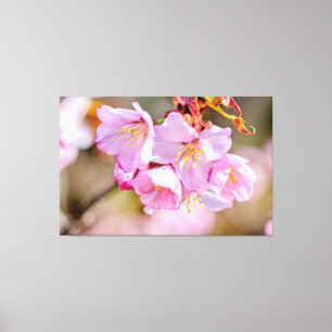 Toile Fleurs De Sakura Charmant Et Cool Au Printemps