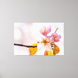 Toile Fleurs de Sakura et fond rose clair du printemps