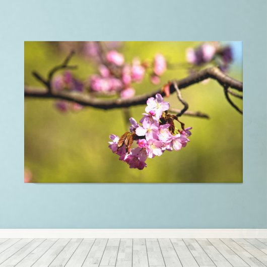 Toile Fleurs de Sakura fraîches sur fond vert (Insitu (Plancher de Bois))