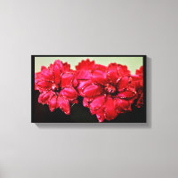 Fleurs de soie