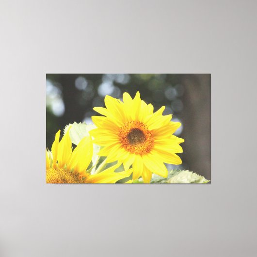 Toile Fleurs de tournesol (Recto)