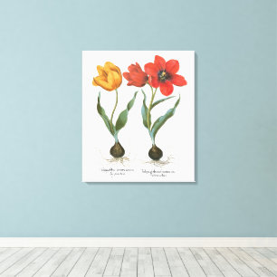 Toile Fleurs de tulipes printanières vintage par Basiliu