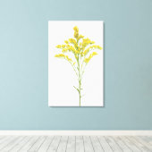 Toile Fleurs de verge d'or (Solidago juncea), Amérique d (Insitu (Plancher de Bois))